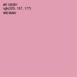 #E19DB1 - Wewak Color Image