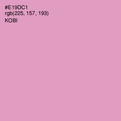 #E19DC1 - Kobi Color Image