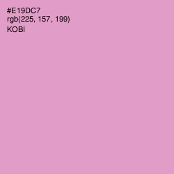 #E19DC7 - Kobi Color Image