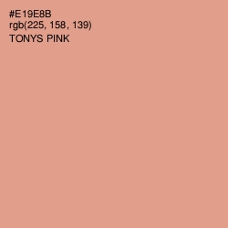 #E19E8B - Tonys Pink Color Image