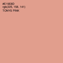 #E19E8D - Tonys Pink Color Image