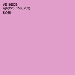 #E19ECB - Kobi Color Image