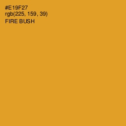 #E19F27 - Fire Bush Color Image