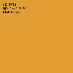 #E19F33 - Fire Bush Color Image