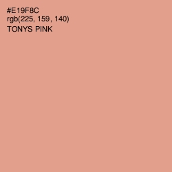 #E19F8C - Tonys Pink Color Image