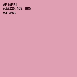 #E19FB4 - Wewak Color Image