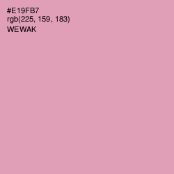 #E19FB7 - Wewak Color Image