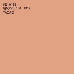 #E1A183 - Tacao Color Image