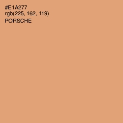 #E1A277 - Porsche Color Image