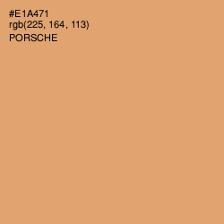 #E1A471 - Porsche Color Image