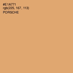 #E1A771 - Porsche Color Image