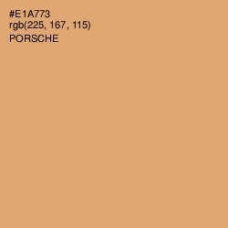 #E1A773 - Porsche Color Image