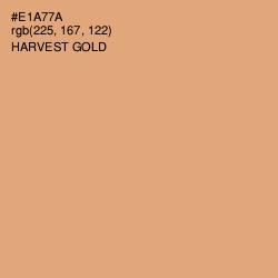 #E1A77A - Harvest Gold Color Image
