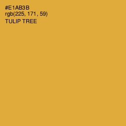 #E1AB3B - Tulip Tree Color Image