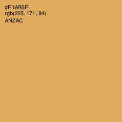 #E1AB5E - Anzac Color Image