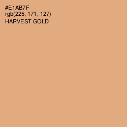 #E1AB7F - Harvest Gold Color Image