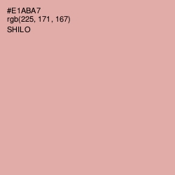 #E1ABA7 - Shilo Color Image