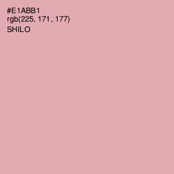 #E1ABB1 - Shilo Color Image