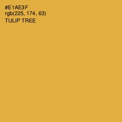 #E1AE3F - Tulip Tree Color Image
