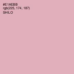 #E1AEBB - Shilo Color Image