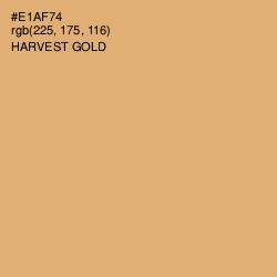 #E1AF74 - Harvest Gold Color Image