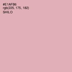 #E1AFB6 - Shilo Color Image