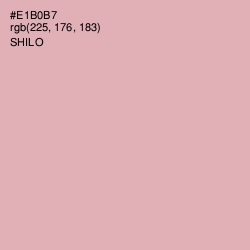 #E1B0B7 - Shilo Color Image