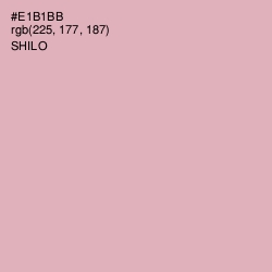 #E1B1BB - Shilo Color Image