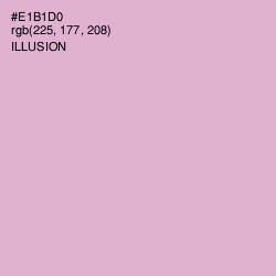 #E1B1D0 - Illusion Color Image