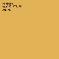 #E1B356 - Anzac Color Image