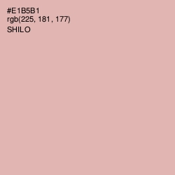 #E1B5B1 - Shilo Color Image