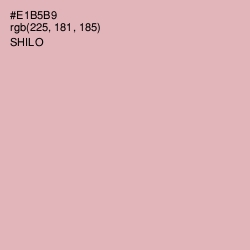 #E1B5B9 - Shilo Color Image
