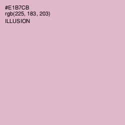 #E1B7CB - Illusion Color Image
