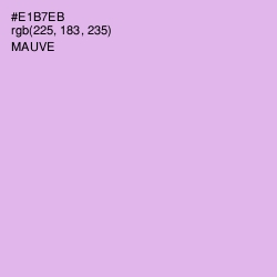 #E1B7EB - Mauve Color Image