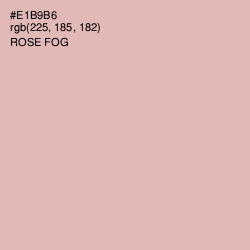 #E1B9B6 - Rose Fog Color Image