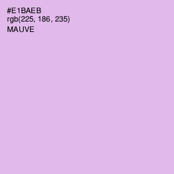 #E1BAEB - Mauve Color Image