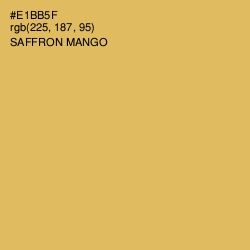 #E1BB5F - Saffron Mango Color Image