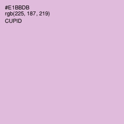 #E1BBDB - Cupid Color Image