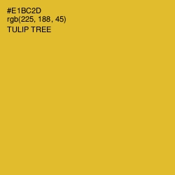 #E1BC2D - Tulip Tree Color Image