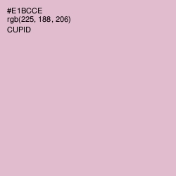 #E1BCCE - Cupid Color Image