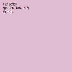 #E1BCCF - Cupid Color Image