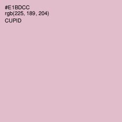 #E1BDCC - Cupid Color Image