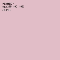 #E1BEC7 - Cupid Color Image