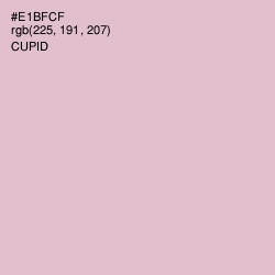 #E1BFCF - Cupid Color Image