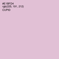 #E1BFD4 - Cupid Color Image