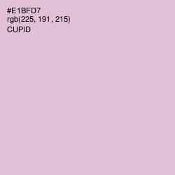 #E1BFD7 - Cupid Color Image