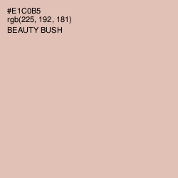 #E1C0B5 - Beauty Bush Color Image