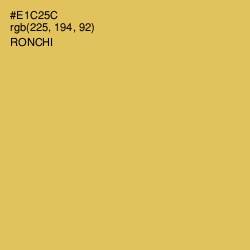 #E1C25C - Ronchi Color Image