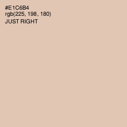 #E1C6B4 - Just Right Color Image