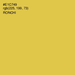 #E1C749 - Ronchi Color Image